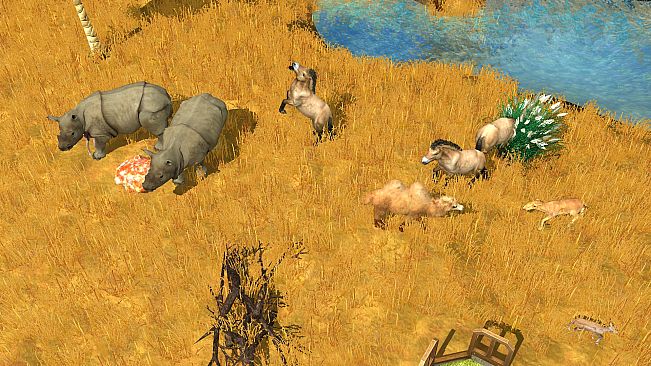 Wildlife Park 3 - Asia