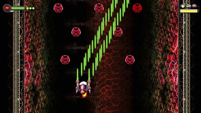 Dragonfly Chronicles