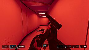 They Killed Your Cat