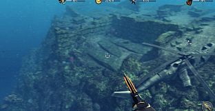 Depth Hunter 2: Treasure Hunter