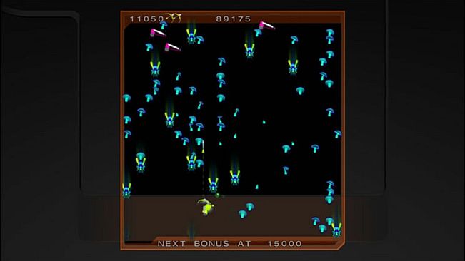 Centipede & Millipede