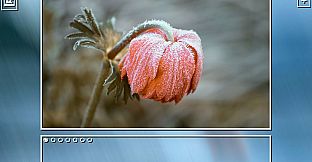 Super Jigsaw Puzzle: Generations - Winter Puzzles