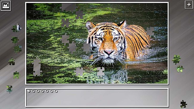 Super Jigsaw Puzzle: Generations - Big Cats 2