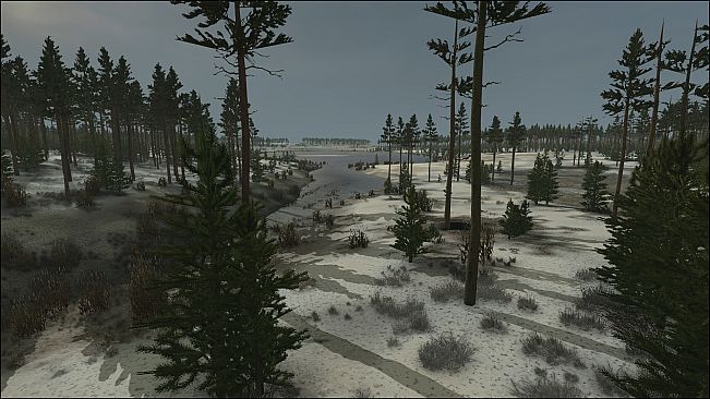 Graviteam Tactics: Black Snow