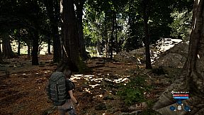 Cypress Inheritance: The Beginning