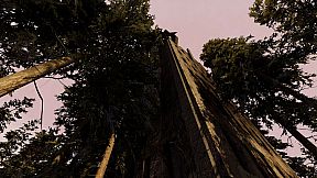 Trapped In The Omniverse