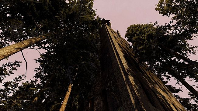 Trapped In The Omniverse