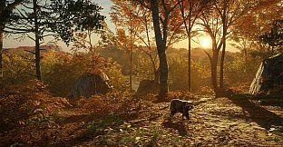 theHunter: Call of the Wild - Salzwiesen Park