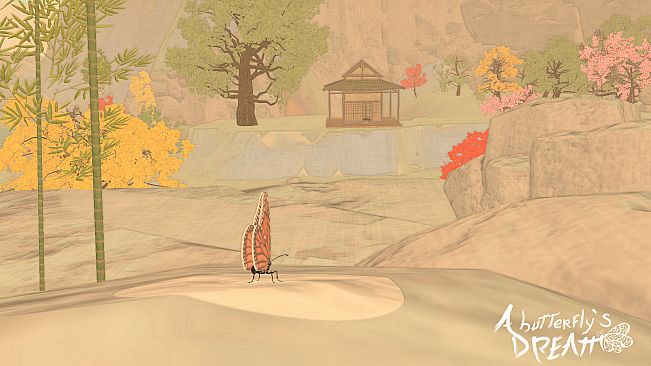 A Butterfly's Dream