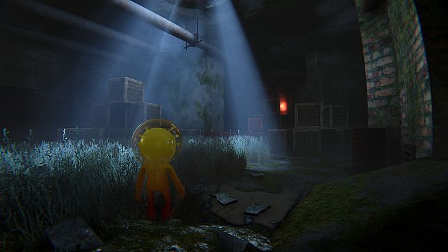 Sticky Sticky: Surplus Protocol