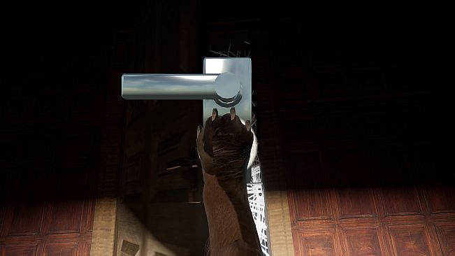 Good Boy The Long Night