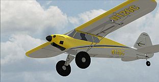 RealFlight Evolution