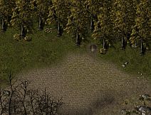 Lost Remnant: Wherehouse