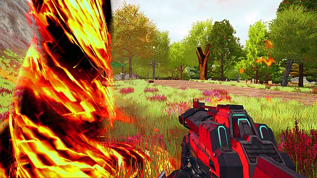 The Seasons Collection: Spring