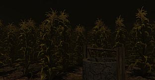 Cornfield