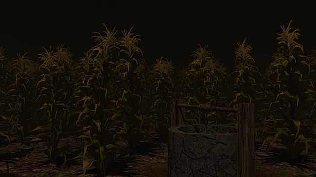 Cornfield