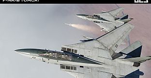 DCS: F-14A/B Tomcat by Heatblur Simulations