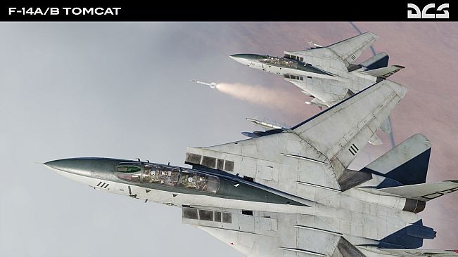 DCS: F-14A/B Tomcat by Heatblur Simulations