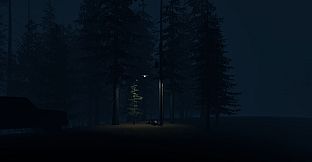 Stray Light