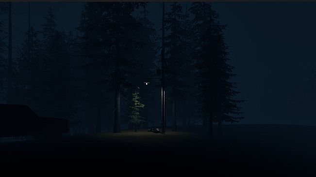 Stray Light