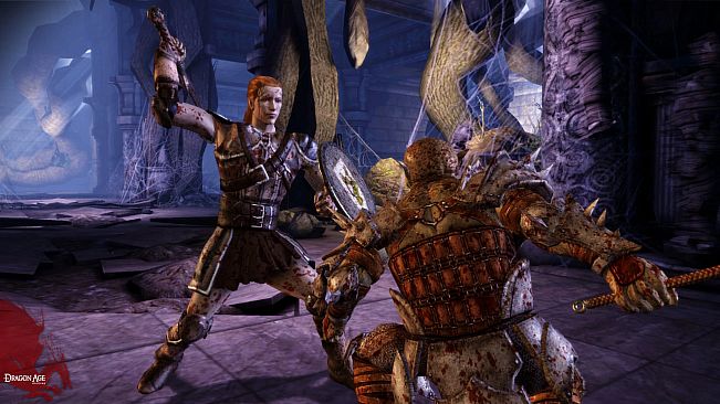Dragon Age: Origins