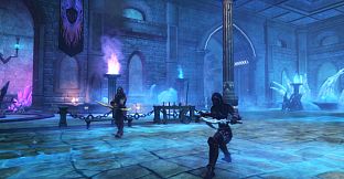 Kingdoms of Amalur: Re-Reckoning - Fatesworn