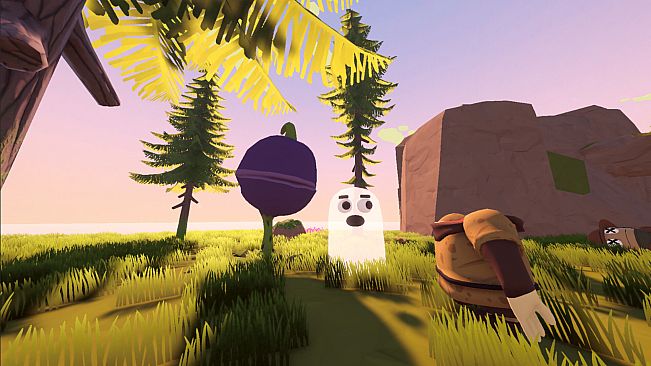 Wander