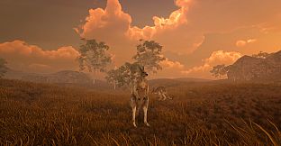 Alone in the Outback