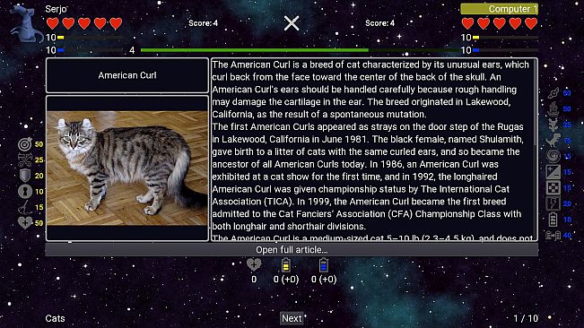 I've Seen Everything - Cats