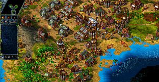 THE SETTLERS III