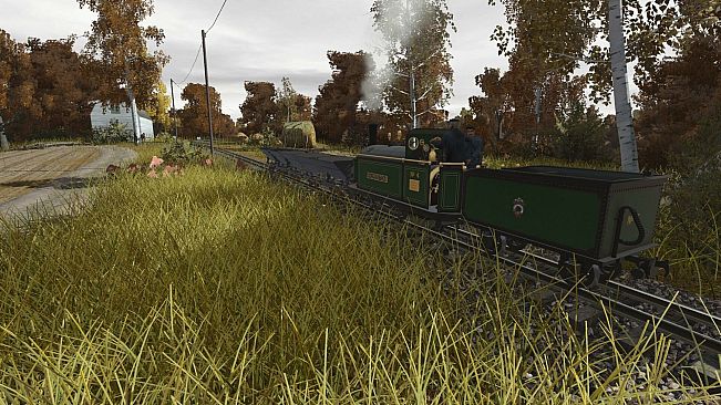 Trainz Plus DLC - Swedaryn Island Narrow Gauge Railway