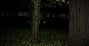 The Wyoming Incident