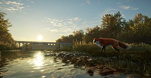 theHunter: Call of the Wild - Salzwiesen Park - Windows10