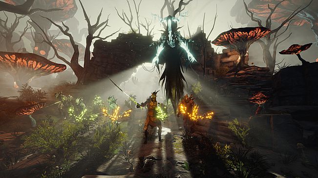 The Wizards - Dark Times: Brotherhood