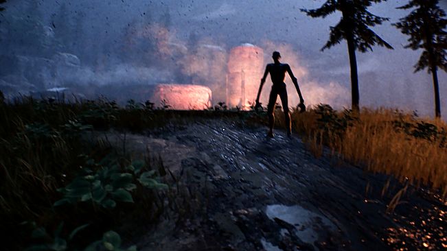 Into the Fold - Nala Junction