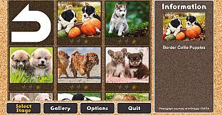 Jigsaw Masterpieces : Cute Lovely Dogs