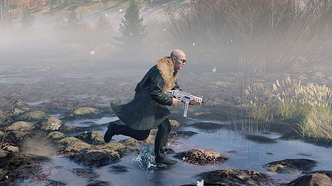 CRSED: F.O.A.D. - The Bear of Wall Street Bundle