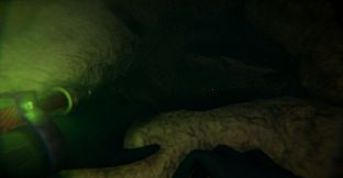 Silt Out