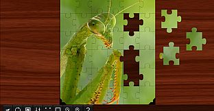 Jigsaw Puzzle World - Insects