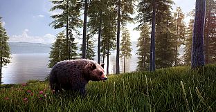 Hunting Simulator 2 Bear Hunter Pack