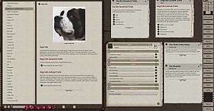 Fantasy Grounds - Custom Ancestries & Cultures