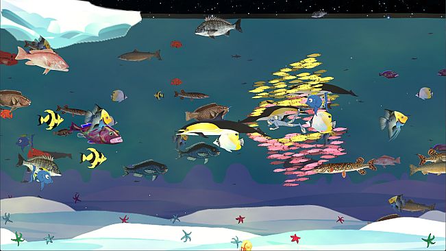 Fishtographers