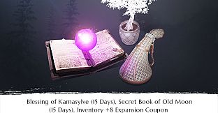 Black Desert Online - GUARDIAN Pre-order Bundle