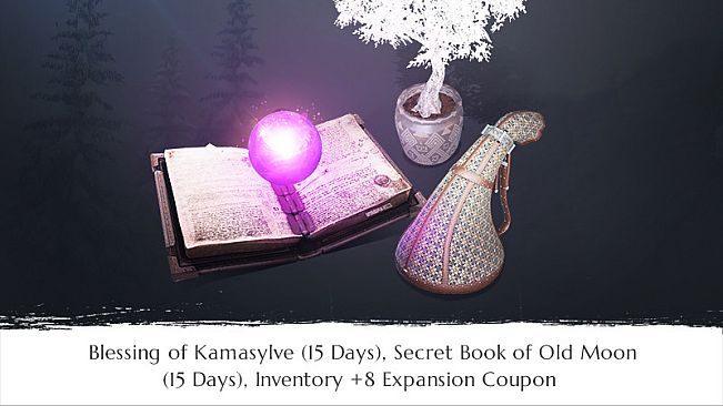 Black Desert Online - GUARDIAN Pre-order Bundle