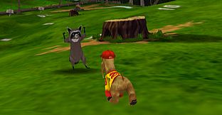 Jerry Rice & Nitus' Dog Football