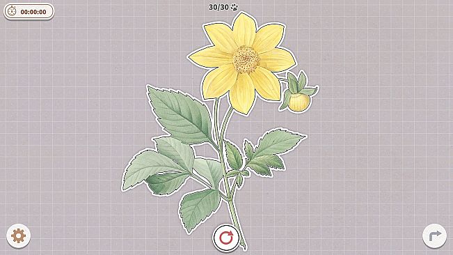 Plants Huddled Together