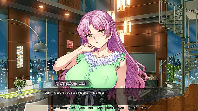 Secrets of a Porn Shop Princess