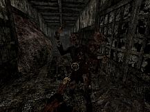 Labyrinth Of The Demon King