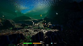 Fish Swarm: Within Inches