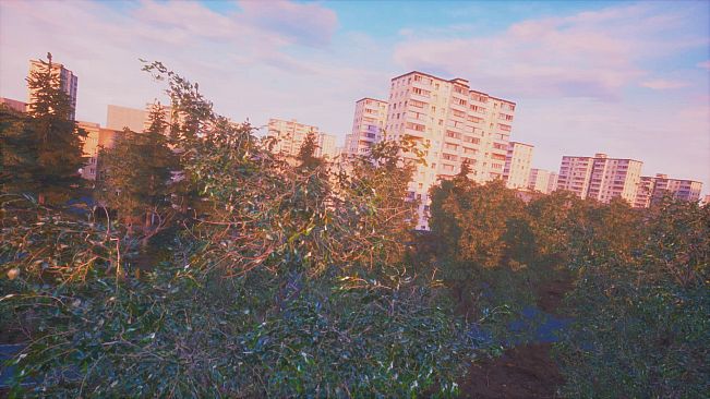 Симулятор Сидения на Крыше